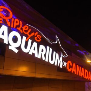 Deposit for Ripley's Aquarium Sleepover